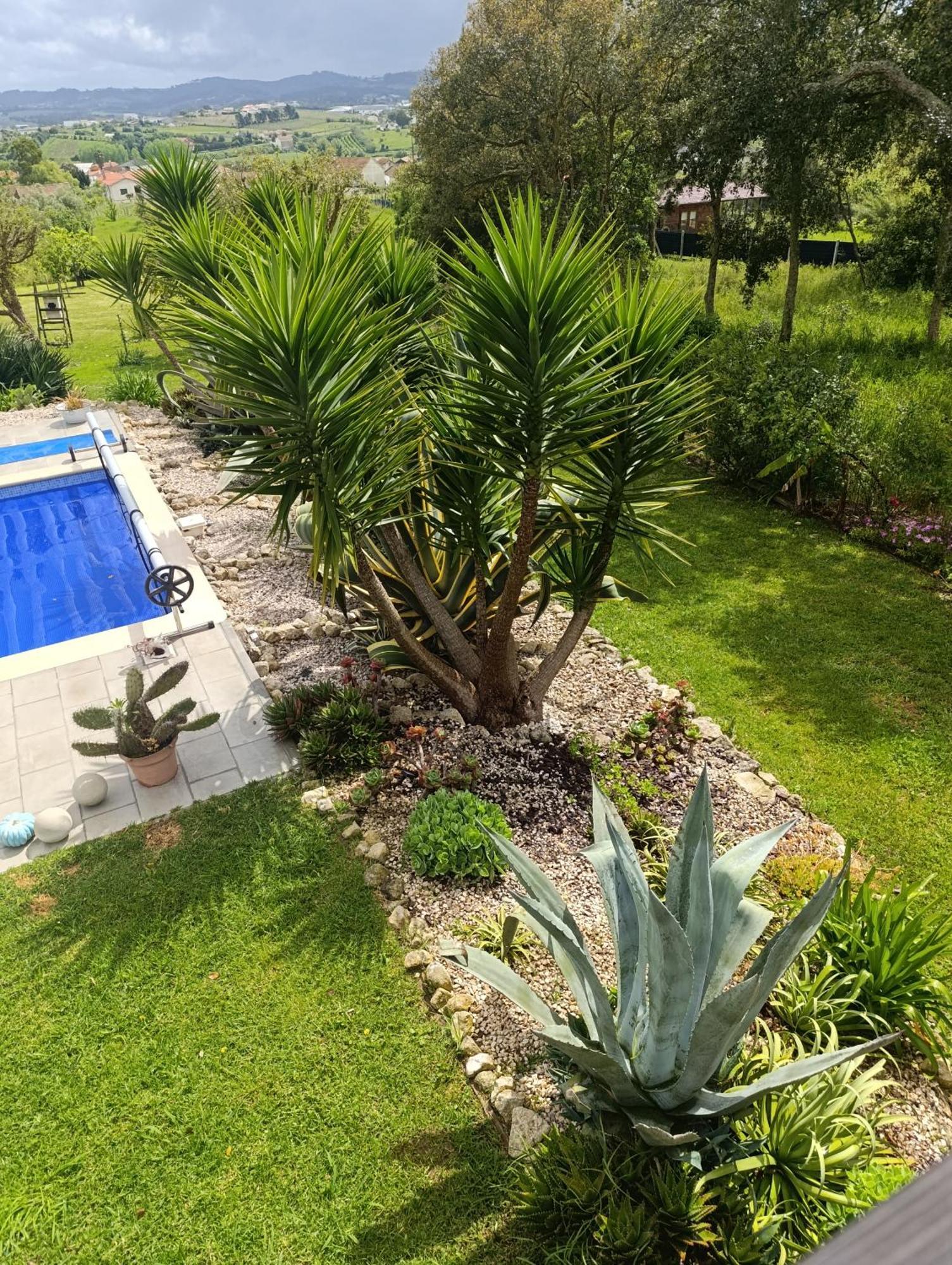 Gite Canto Azul Casal da Carreira Kültér fotó